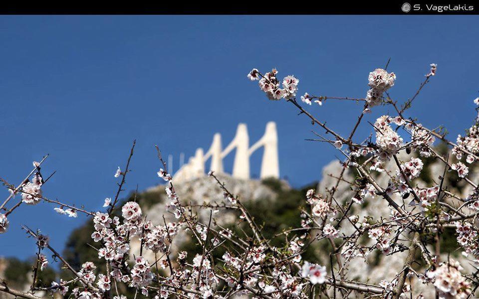 Hotel Fotini Mytikas  Esterno foto